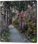 Guide Our Feet Into The Path Of Peace. Luke 1.79 Acrylic Print