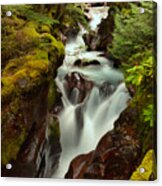 Gushing Through West Glacier Acrylic Print