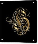 H Ornamental Letter Gold Typography Acrylic Print