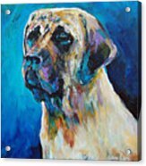 Haas Hall Mascot Acrylic Print