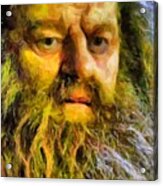Hagrid Acrylic Print