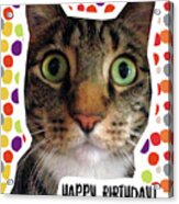 Happy Birthday Cat- Art By Linda Woods Acrylic Print