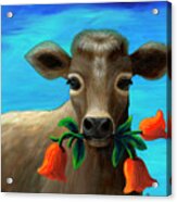 Happy Cow Acrylic Print