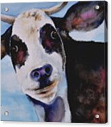 Happy Holstein Acrylic Print