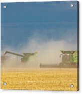 Harvest In Dust Acrylic Print