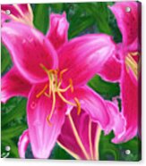 Hawaiian Flowers Acrylic Print