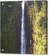 Hawaiian Waterfall Acrylic Print