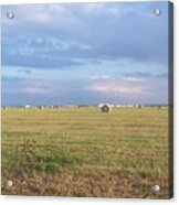 Haybales With Violet Sky Acrylic Print