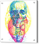 Heart Brain Skull Acrylic Print