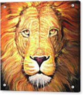 Heart Of A Lion Fullcolor Acrylic Print