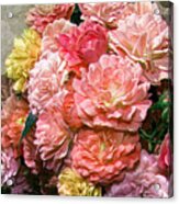 Heirloom Roses Acrylic Print