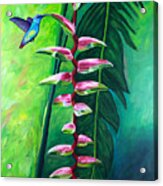 Heliconia Flower And Friend Acrylic Print
