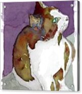 Hemingway Cat Acrylic Print