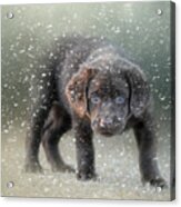 Her First Snow Acrylic Print