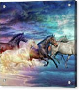 Herd Of Horses In Pastel Acrylic Print