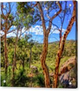 Heritage View, John Forest National Park Acrylic Print