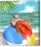 Hermit Crab On A Beachball Acrylic Print