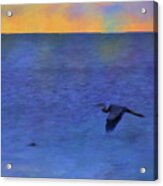 Heron Across The Sea Acrylic Print