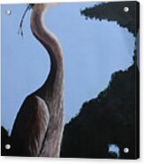 Heron In The Trees Acrylic Print