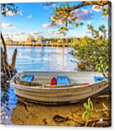 Hidden In The Mangroves Acrylic Print