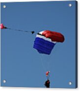 High Flyers 2 Acrylic Print