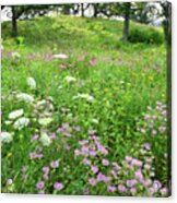 Hills Of Wildflowers In Chain-o-lakes Sp Acrylic Print