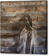 Hole-in-the-wall Cabin At Old Trail Town In Cody In Wyoming Acrylic Print