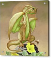 Honey Dew Dragon Acrylic Print