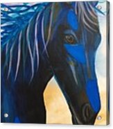 Horse Blue Boy Acrylic Print