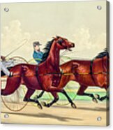 Horse Carriage Race Acrylic Print