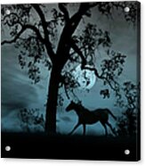 Horse, Moon And Oak Tree Acrylic Print