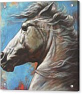 Horse Power Acrylic Print