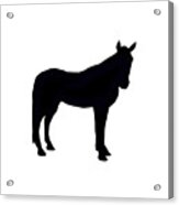 Horse Silhouette Acrylic Print