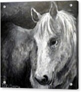 Horse With The Mona Lisa Smile Acrylic Print