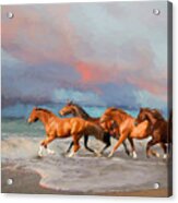 Horses At The Beach Acrylic Print