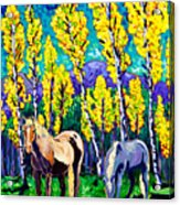 Horses In Aspens Acrylic Print
