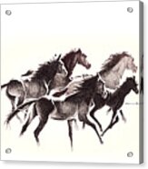 Horses4 Mug Acrylic Print