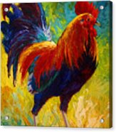 Hot Shot - Rooster Acrylic Print