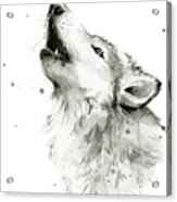 Howling Wolf Watercolor Acrylic Print