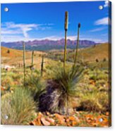 Hucks Lookout Acrylic Print