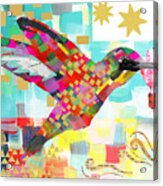 Humming Bird Acrylic Print