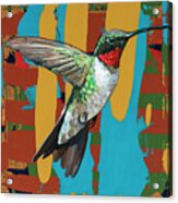 Hummingbird #10 Acrylic Print