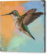 Hummingbird #5 Acrylic Print