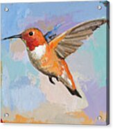 Hummingbird #7 Acrylic Print