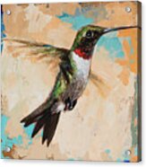 Hummingbird #9 Acrylic Print
