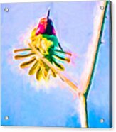 Hummingbird Art - Energy Glow Acrylic Print