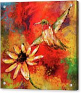 Hummingbird Energy Acrylic Print