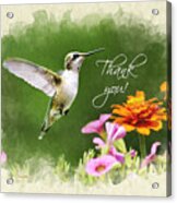 Hummingbird Flying With Flowers Thank You Card Acrylic Print