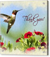 Hummingbird Frolic With Flowers Thank You Card Acrylic Print