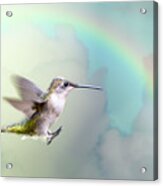 Hummingbird Under Rainbow Acrylic Print